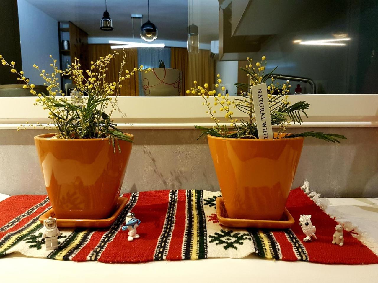 Central Luxury Apartment Тирана Екстер'єр фото